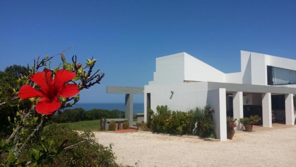 Herdade Amalia Rodrigues Zambujeira do Mar Ngoại thất bức ảnh
